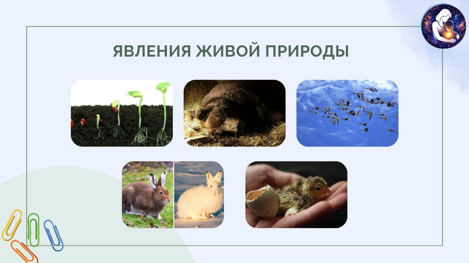 Окружающий мир. 1 класс.
Тема: Человек и природа — Материалы 10